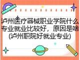 泸州医疗器械职业学院什么专业就业比较好，原因是啥(泸州职院好就业专业)