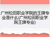 广州松田职业学院的王牌专业是什么(广州松田职业学院王牌专业)