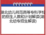 湖北幼儿师范高等专科学校的招生人数和计划解读(湖北幼专招生解读)
