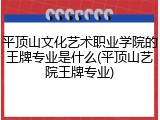 平顶山文化艺术职业学院的王牌专业是什么(平顶山艺院王牌专业)