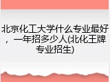 北京化工大学什么专业最好，一年招多少人(北化王牌专业招生)