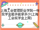 上海工会管理职业学院一年奖学金最多能拿多少(上海工会奖学金上限)