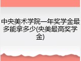 中央美术学院一年奖学金最多能拿多少(央美最高奖学金)