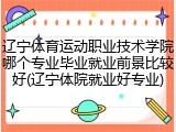 辽宁体育运动职业技术学院哪个专业毕业就业前景比较好(辽宁体院就业好专业)