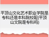 平顶山文化艺术职业学院是专科还是本科院校呢(平顶山文院是专科吗)