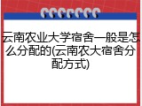 云南农业大学宿舍一般是怎么分配的(云南农大宿舍分配方式)