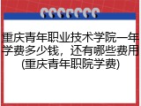 重庆青年职业技术学院一年学费多少钱，还有哪些费用(重庆青年职院学费)