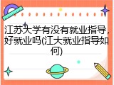 江苏大学有没有就业指导，好就业吗(江大就业指导如何)