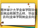 南京审计大学金审学院毕业后就业前景怎么样，毕业生去向(金审学院就业去向)