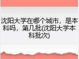 沈阳大学在哪个城市，是本科吗，第几批(沈阳大学本科批次)