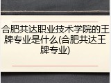 合肥共达职业技术学院的王牌专业是什么(合肥共达王牌专业)