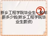 新乡工程学院毕业生一般年薪多少钱(新乡工程学院毕业生薪资)