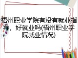 梧州职业学院有没有就业指导，好就业吗(梧州职业学院就业情况)