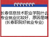 长春信息技术职业学院什么专业就业比较好，原因是啥(长春职院好就业专业)