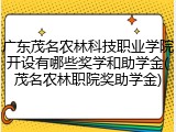 广东茂名农林科技职业学院开设有哪些奖学和助学金(茂名农林职院奖助学金)