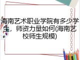 海南艺术职业学院有多少学生，师资力量如何(海南艺校师生规模)
