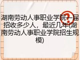 湖南劳动人事职业学院一届招收多少人，最近几年(湖南劳动人事职业学院招生规模)