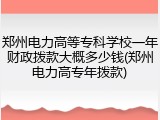 郑州电力高等专科学校一年财政拨款大概多少钱(郑州电力高专年拨款)