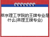燕京理工学院的王牌专业是什么(燕理王牌专业)