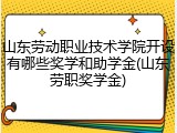 山东劳动职业技术学院开设有哪些奖学和助学金(山东劳职奖学金)