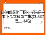 鹤壁能源化工职业学院是一本还是本科第二批(鹤职院是二本吗)