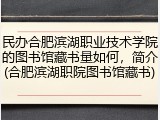 民办合肥滨湖职业技术学院的图书馆藏书量如何，简介(合肥滨湖职院图书馆藏书)