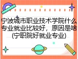 宁波城市职业技术学院什么专业就业比较好，原因是啥(宁职院好就业专业)