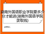 湖南外国语职业学院要多少分才能进(湖南外国语学院录取线)