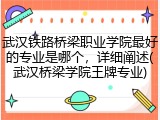 武汉铁路桥梁职业学院最好的专业是哪个，详细阐述(武汉桥梁学院王牌专业)