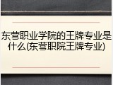 东营职业学院的王牌专业是什么(东营职院王牌专业)