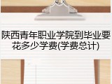 陕西青年职业学院到毕业要花多少学费(学费总计)
