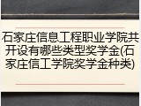 石家庄信息工程职业学院共开设有哪些类型奖学金(石家庄信工学院奖学金种类)