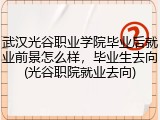 武汉光谷职业学院毕业后就业前景怎么样，毕业生去向(光谷职院就业去向)