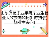 山东外贸职业学院毕业生就业大致去向如何(山东外贸毕业生去向)