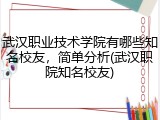 武汉职业技术学院有哪些知名校友，简单分析(武汉职院知名校友)