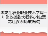 黑龙江农业职业技术学院一年财政拨款大概多少钱(黑龙江农职院年拨款)