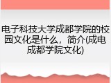 电子科技大学成都学院的校园文化是什么，简介(成电成都学院文化)