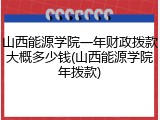 山西能源学院一年财政拨款大概多少钱(山西能源学院年拨款)