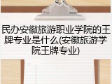 民办安徽旅游职业学院的王牌专业是什么(安徽旅游学院王牌专业)