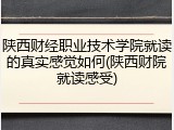 陕西财经职业技术学院就读的真实感觉如何(陕西财院就读感受)