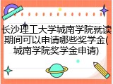 长沙理工大学城南学院就读期间可以申请哪些奖学金(城南学院奖学金申请)