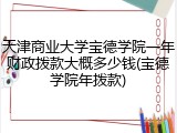 天津商业大学宝德学院一年财政拨款大概多少钱(宝德学院年拨款)