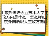 山东外国语职业技术大学主攻方向是什么，怎么样(山东外国语职大主攻方向)