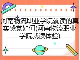 河南物流职业学院就读的真实感觉如何(河南物流职业学院就读体验)
