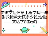 安徽文达信息工程学院一年财政拨款大概多少钱(安徽文达学院拨款)