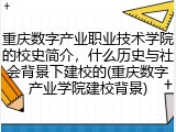 重庆数字产业职业技术学院的校史简介，什么历史与社会背景下建校的(重庆数字产业学院建校背景)