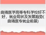 曲靖医学高等专科学校好不好，就业现状及发展趋势(曲靖医专就业前景)
