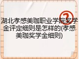 湖北孝感美珈职业学院奖学金评定细则是怎样的(孝感美珈奖学金细则)