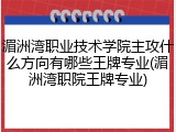 湄洲湾职业技术学院主攻什么方向有哪些王牌专业(湄洲湾职院王牌专业)