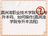 湄洲湾职业技术学院可以专升本吗，如何操作(湄洲湾学院专升本流程)